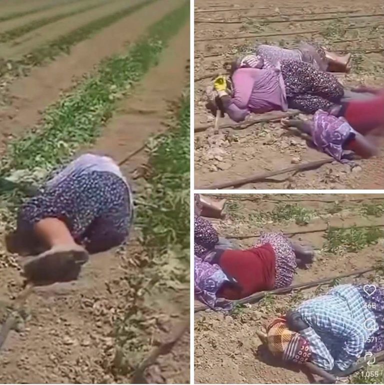 MEVSİMLİK İŞÇİLER
