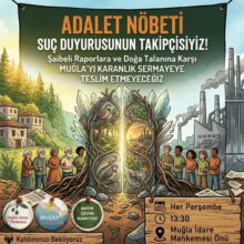 Muğla’da Adalet Nöbeti Sürüyor: “Doğa Talanına Karşı Suç Duyurusunun Takipçisiyiz”