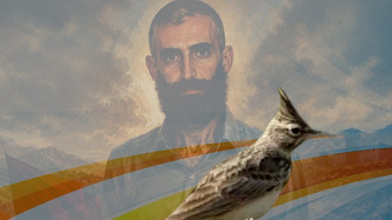 Tarla Kuşunun Kanadında Gürkan